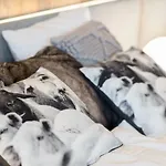 Apartament Wierchy